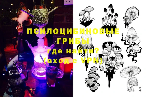 apvp Нея