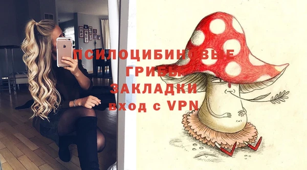 Альфа ПВП Кизел