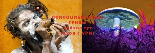 apvp Нея