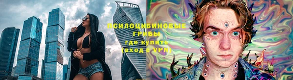 Альфа ПВП Кизел